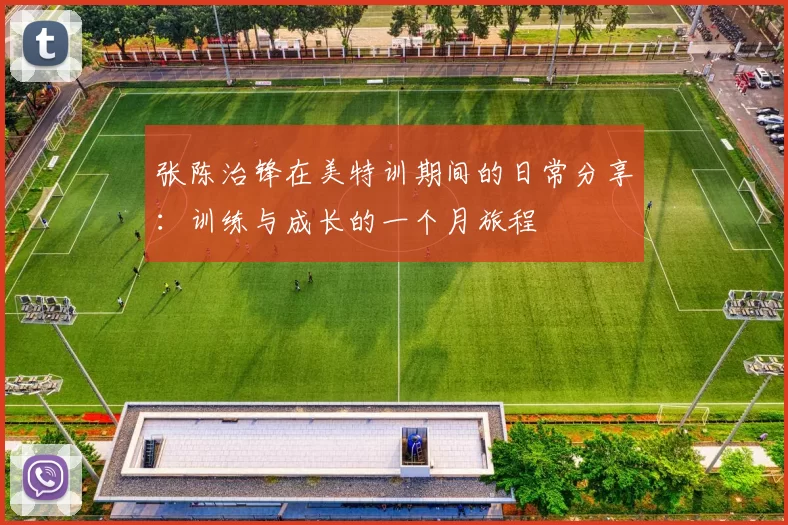 张陈治锋在美特训期间的日常分享：训练与成长的一个月旅程